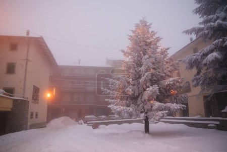 Téléchargez les photos : Arbre de Noël couvert de neige, paysage d'hiver - en image libre de droit