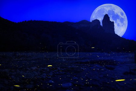 Téléchargez les photos : Lucioles volent dans la nuit au-dessus de la rivière - en image libre de droit