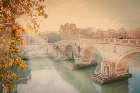 Photo for Roman bridge on the Tiber river, lungotevere Rome, tree-lined avenue at the sides of the river - Royalty Free Image