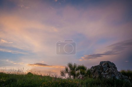 Téléchargez les photos : Meilleur coucher de soleil orange et prairie printanière - en image libre de droit