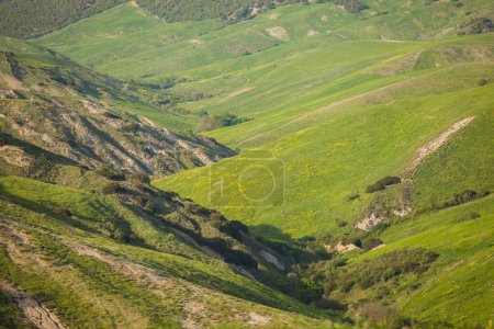 Foto de Montañas cultivadas con flores primaverales, tierras agrícolas cultivadas en primavera - Imagen libre de derechos