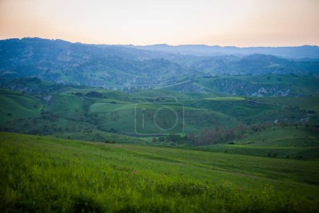 Photo for Lands cultivated with spring blooms, agricultural lands cultivated in spring - Royalty Free Image