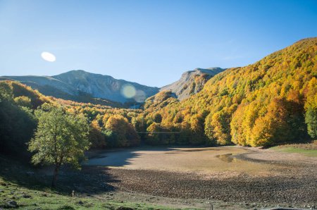 Téléchargez les photos : La forêt et le lac dans la période d'automne en feuillage complet, vallée de montagne avec lac et forêt dans la période d'automne du feuillage - en image libre de droit