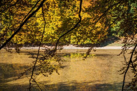 Téléchargez les photos : La forêt et le lac dans la période d'automne en feuillage complet, vallée de montagne avec lac et forêt dans la période d'automne du feuillage - en image libre de droit
