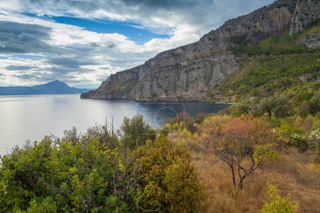 Téléchargez les photos : Côte méditerranéenne avec buissons et rochers - en image libre de droit