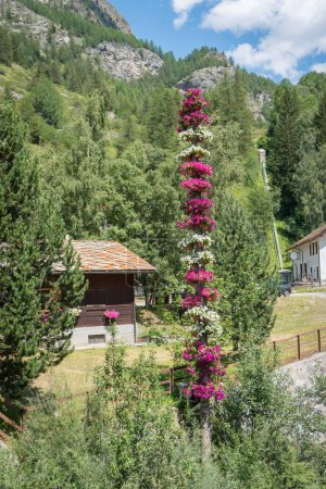 Téléchargez les photos : Colonne de fleurs dans la vallée alpine avec bâtiments et vue sur le village - en image libre de droit