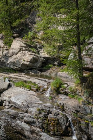 Téléchargez les photos : Ruisseau alpin traversant la vallée et la forêt - en image libre de droit