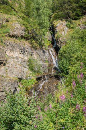 Foto de Arroyo fluye entre las rocas y crea una cascada alpina - Imagen libre de derechos