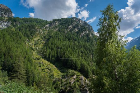 Téléchargez les photos : Vallées alpines avec vue sur les sommets, les glaciers et les pâturages - en image libre de droit