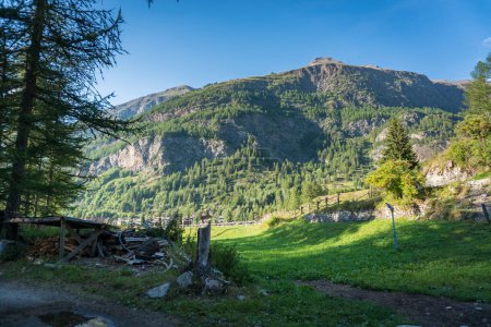 Téléchargez les photos : Vallées alpines avec vue sur les sommets, les glaciers et les pâturages - en image libre de droit