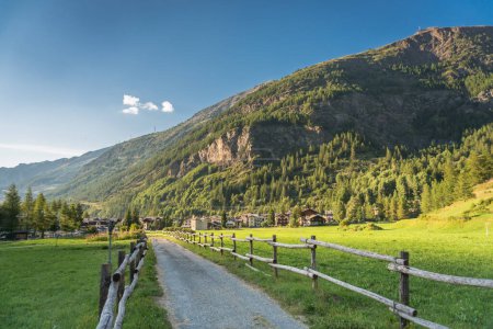Téléchargez les photos : Sentier de randonnée en montagne dans les vallées alpines - en image libre de droit