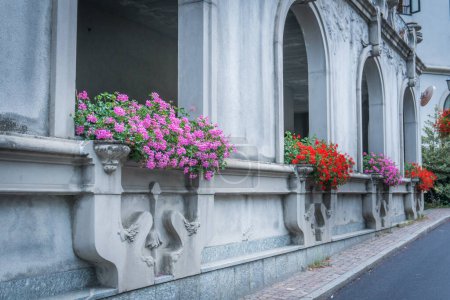 Téléchargez les photos : Arches décorées de vases pleins de fleurs - en image libre de droit