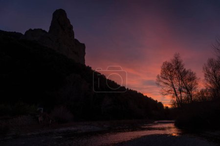 Téléchargez les photos : Sommets montagneux au coucher du soleil violet - en image libre de droit