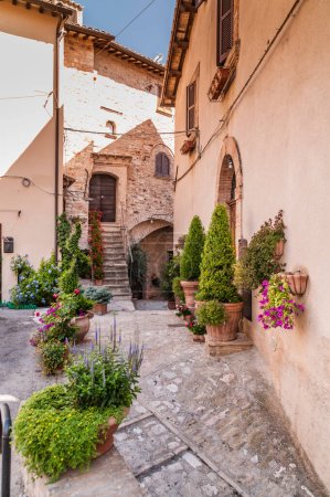 Téléchargez les photos : Allée avec des fleurs décoratives dans le centre historique d'une ville médiévale en Ombrie Italie - en image libre de droit