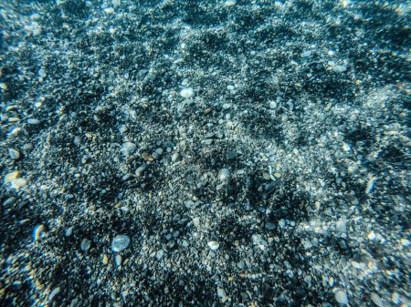 Foto de Fondo marino pedregoso en aguas claras y poco profundas - Imagen libre de derechos