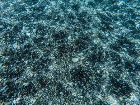 Foto de Fondo marino pedregoso en aguas claras y poco profundas - Imagen libre de derechos