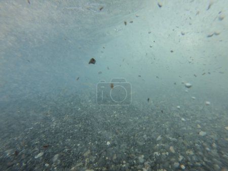 Photo for Rough sea seen from underwater - Royalty Free Image