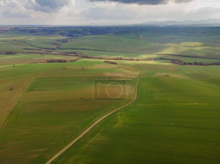 Photo for Plowed fields in spring with the first blooms of shoots - Royalty Free Image