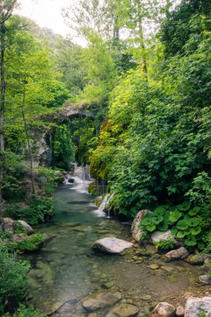 Téléchargez les photos : La rivière coule en aval à travers la forêt sauvage créant des cascades coulant sur des rochers recouverts de mousse verte, jaune et rouge. Lieux perdus pour les aventures - en image libre de droit