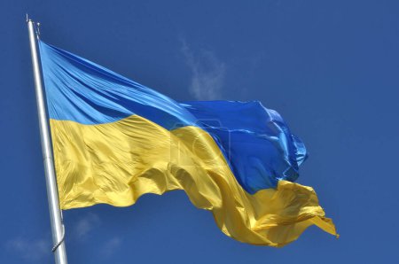 Photo for Blue and yellow colors of the national flag of Ukraine - Royalty Free Image