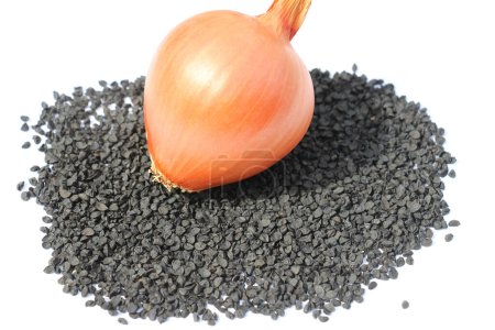 Onion seeds intended for sowing in the soil