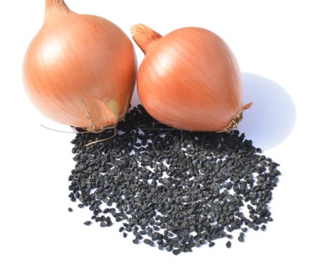 Onion seeds intended for sowing in the soil