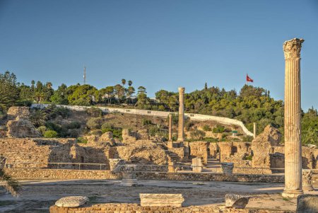 Photo for Carthago, Tunisia - October 2022 : Beautiful view on the old ruins near sea, HDR Image - Royalty Free Image