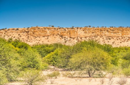 Foto de Auob River Valley, Kalahari, Namibia - Imagen libre de derechos