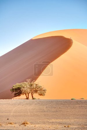 Foto de Namib Desert Dunes around Sossusvlei, HDR Image - Imagen libre de derechos