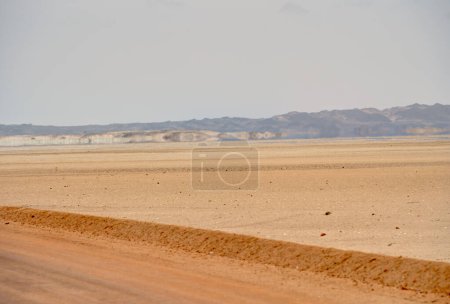 Photo for Beautiful view of desert near ocean at Cape Cross Namibia - Royalty Free Image