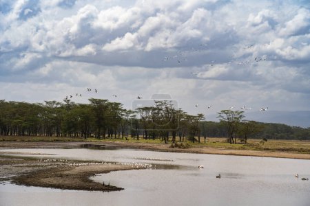 Téléchargez les photos : Vue aérienne du lac pittoresque Nakuru au Kenya - en image libre de droit