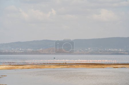 Téléchargez les photos : Vue aérienne du lac pittoresque Nakuru au Kenya - en image libre de droit