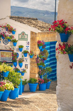 Téléchargez les photos : Iznajar de Cordoue, Espagne. Maisons ornées de plantes vibrantes comme décoration. Rues remplies de maisons aux décorations végétales abondantes. - en image libre de droit