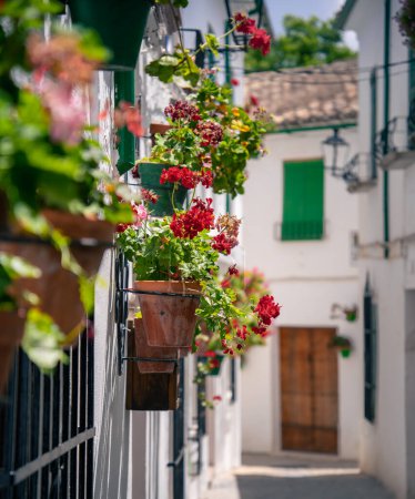 Téléchargez les photos : Priego de Cordoba, Espagne - 1 juin 2023 : Village pittoresque par temps ensoleillé, HDR Image - en image libre de droit