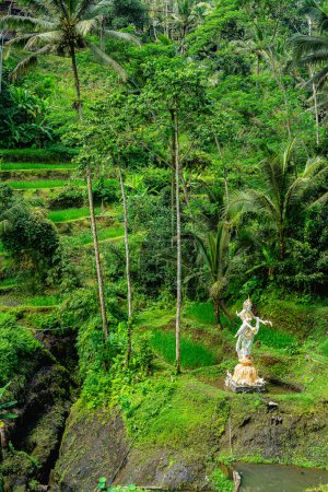 Foto de Hermosa vista de Tegalalang Rice Terrace, Bali, Indonesia - Imagen libre de derechos