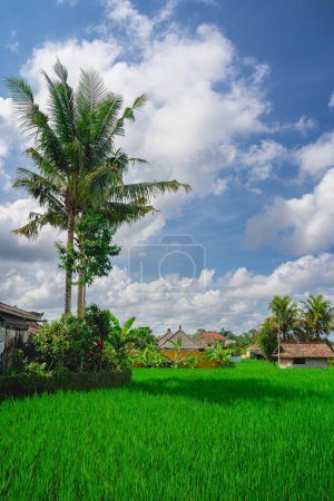 Foto de Ubud, Indonesia - 1 de julio de 2023: Pintoresco monumento balinés con clima soleado - Imagen libre de derechos