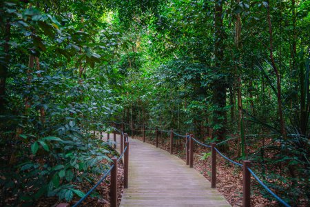 Foto de Jardín Botánico de Singapur en tiempo nublado, HDR Imagen - Imagen libre de derechos