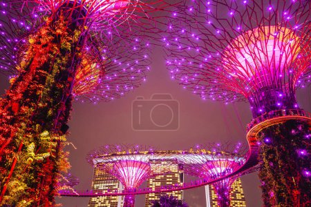 Foto de Singapur - 1 de julio de 2023: Jardines junto a la bahía por la noche, HDR Image - Imagen libre de derechos