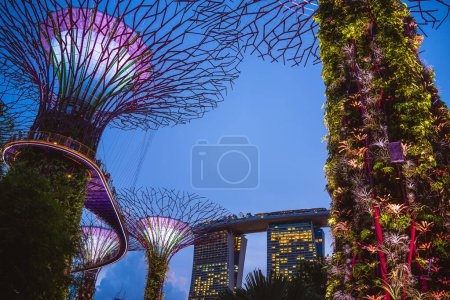 Téléchargez les photos : Singapour - 1er juillet 2023 : Jardins près de la baie la nuit, HDR Image - en image libre de droit