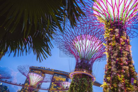 Photo for Singapore - July 1 2023 : Gardens by the Bay at night, HDR Image - Royalty Free Image