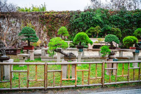 Foto de Suzhou, China - 1 de diciembre de 2023: Humble Administrator 's Garden en tiempo nublado, HDR Imagen - Imagen libre de derechos