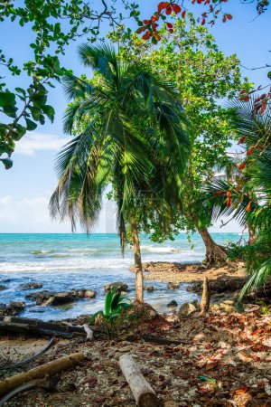 Foto de Hermosa vista de Cahuita, Costa Rica Costa Caribe - Imagen libre de derechos