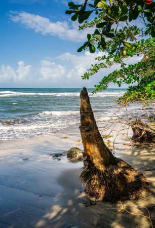 Foto de Hermosa vista de Cahuita, Costa Rica Costa Caribe - Imagen libre de derechos
