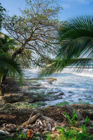 Téléchargez les photos : Belle vue sur Cahuita, Costa Rica Côte des Caraïbes - en image libre de droit
