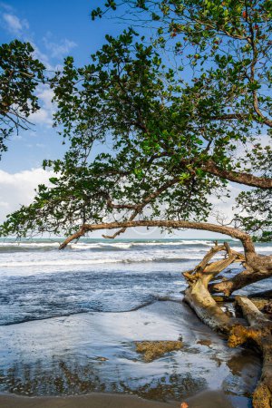 Téléchargez les photos : Belle vue sur Cahuita, Costa Rica Côte des Caraïbes - en image libre de droit