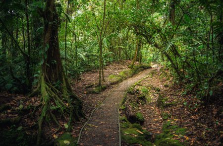 El Arenal National Park in Costa Rica
