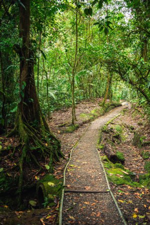 Parque Nacional El Arenal en Costa Rica