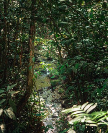 El Arenal National Park in Costa Rica