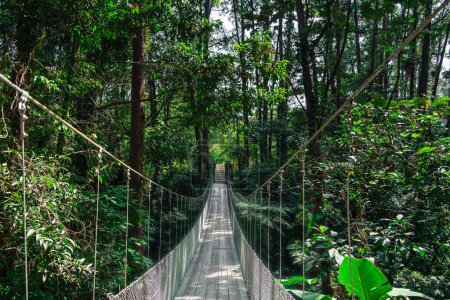 Foto de Vista panorámica del Parque Nacional El Arenal en Costa Rica - Imagen libre de derechos