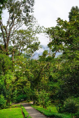 Vue panoramique du parc national El Arenal au Costa Rica